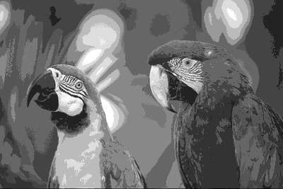 Loros 4 bits